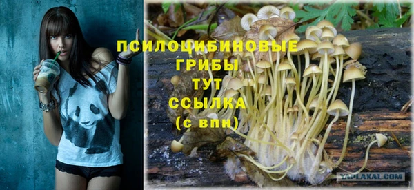 экстази Карпинск