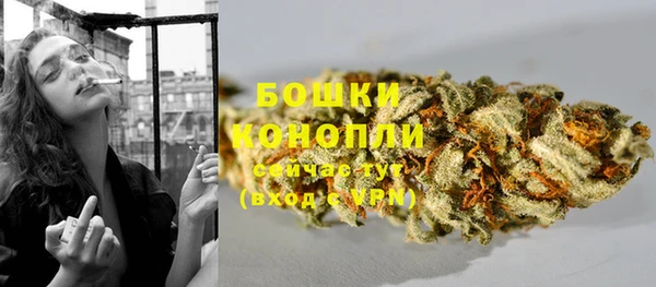 гидра Касимов