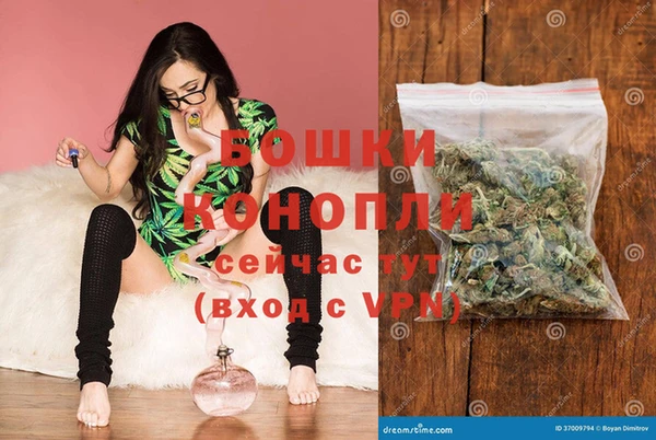 гидра Касимов