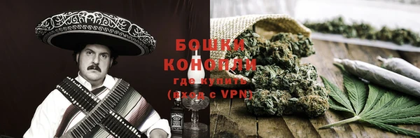 гидра Касимов