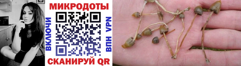 Купить где  Видное  Галлюциногенные грибы Psilocybine cubensis 